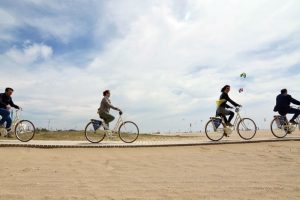 Bicicleta tomBicis