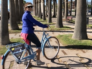 Ruta en bicicleta entre palmeras